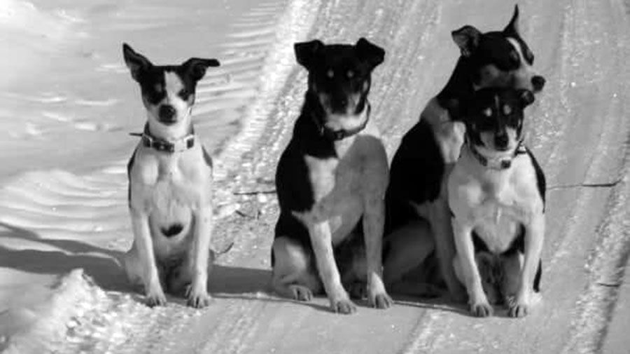 Submitted by Amy Jo McCrory Thompson